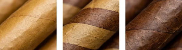 Torpedo layers: Connecticut, Habano, Maduro 